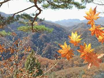 历史上的11月12日肺炎疫情数据图表分析