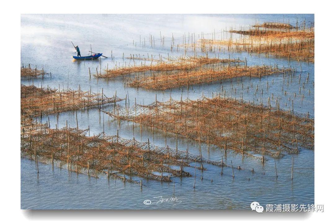 霞浦搜才网最新招聘动态与影响概览