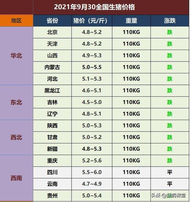 最新概览