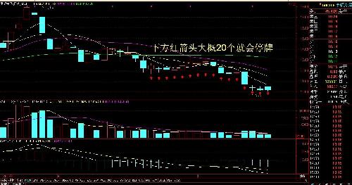 罗顿发展公司概况及最新停牌消息（26日更新）