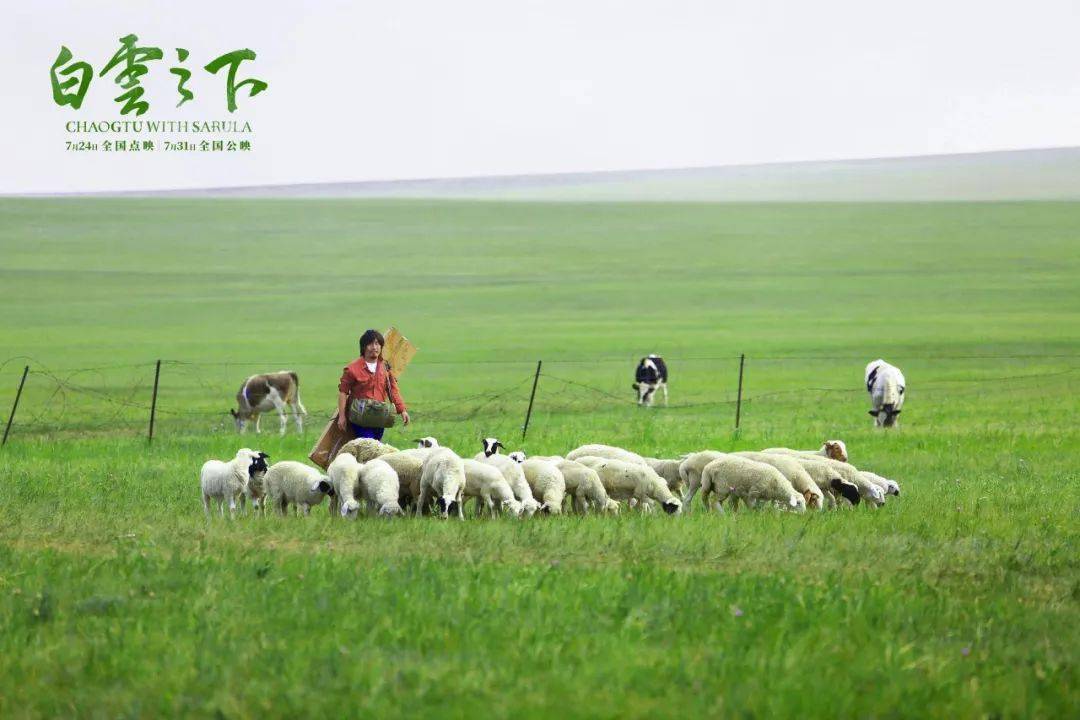 揭秘角落生物，一场心灵之旅的自然美景探秘之旅