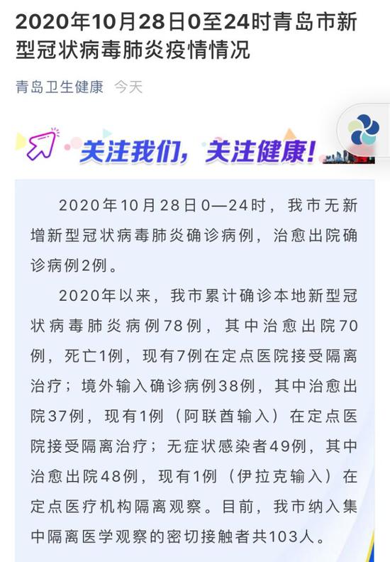 日本最新病例分析报告，揭示疫情动态与趋势