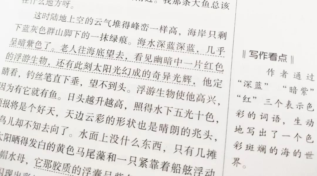 最新畅销小说系列，29日可爱阅读目录回眸