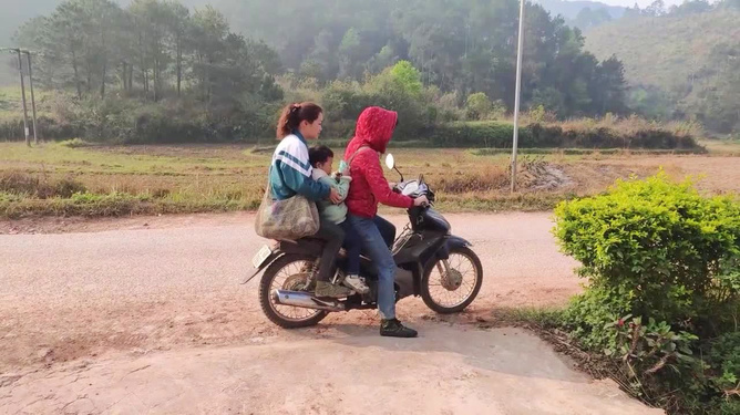 云南女子驾车偶遇六头野猪惊险下山，人与自然和谐共处考验时刻