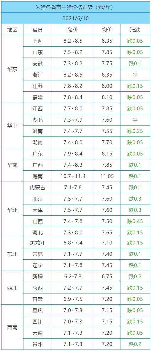 最新猪价报告分析，波动趋势与未来展望（11月1日）