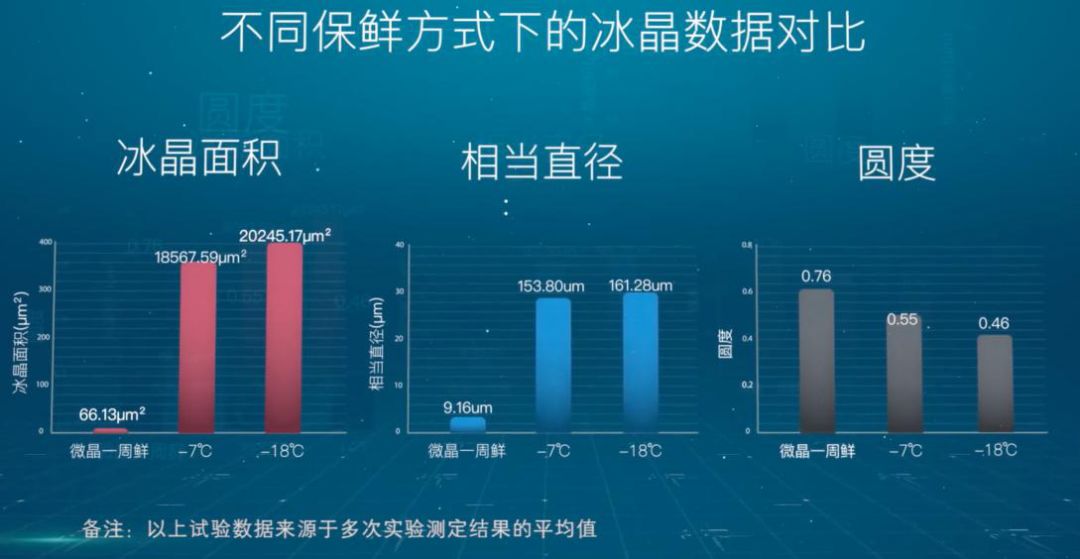 揭秘最新黄址背后的真相与影响，深度探讨与要点详解（最新更新）