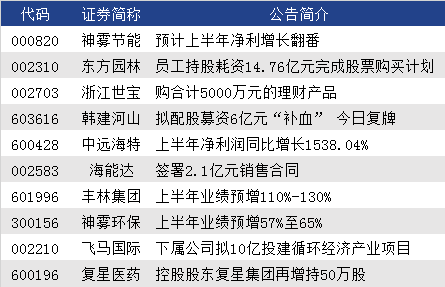 财经要闻与心灵之旅，自然共舞下的内心宁静探寻