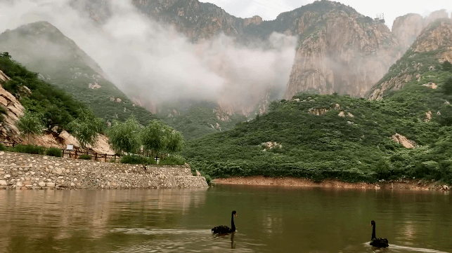 11月3日疫情下的自然探索之旅，宁静美景与疫情最新动态