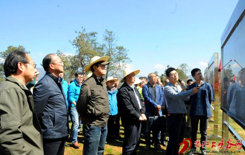 怒江机场最新动态，历史背景、重大事件与深远影响