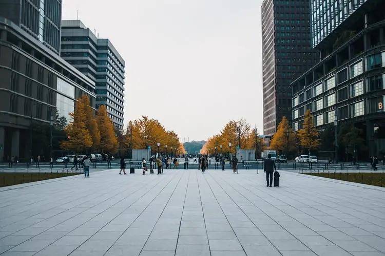 最新圆织机技术解析，11月6日革新及其优势探讨