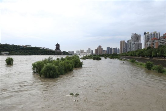 11月6日绵阳三江半岛发展最新动态下的多元观点探析