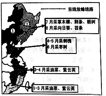 跑狗图555436www跑狗网,准确解答解释落实_N版17.871