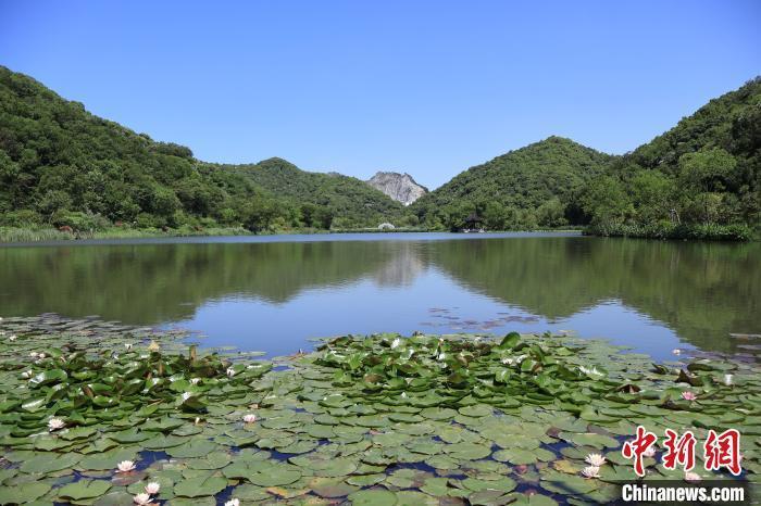 铜鉴湖畔的奇遇与温馨日常，最新消息与陪伴时刻（11月7日）