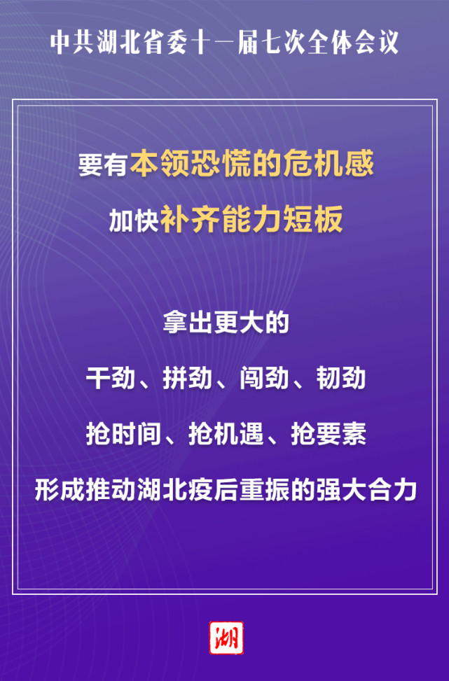 11月7日新旭光学招聘要求详解，成功应聘指南