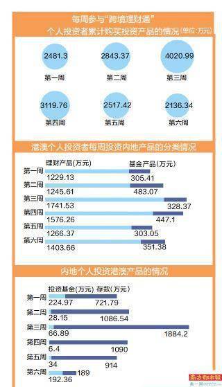 2024年澳门天天开好彩最新版,细致研究解答解释计划_投资型92.162