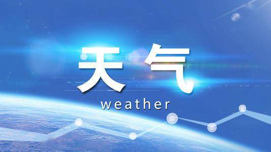 2024年11月8日 第65页