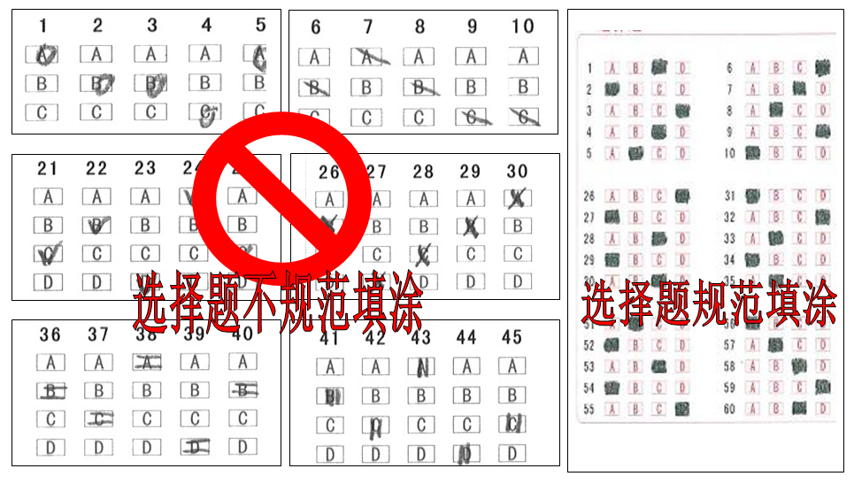 小鱼儿玄机2站30码资料图,事件解答解释落实_钱包版37.281