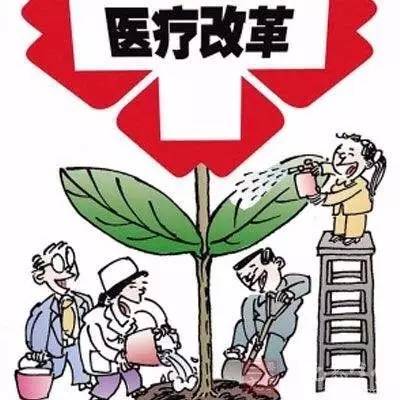 最新护理假政策解读与聚焦，深化理解11月8日新护理假要点