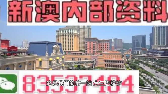 2024新澳正版免费资料的特点,数据资料解释落实_机动版CFG855.34