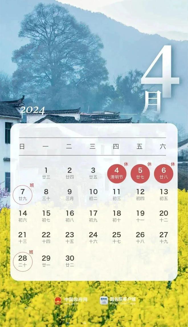 2024年11月8日武汉最新发展信息概览