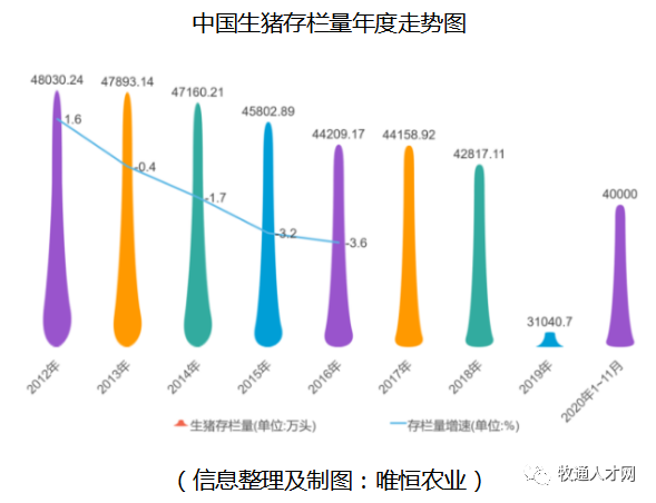 深度解析，往年11月10日母猪存栏数据及其行业观点探析