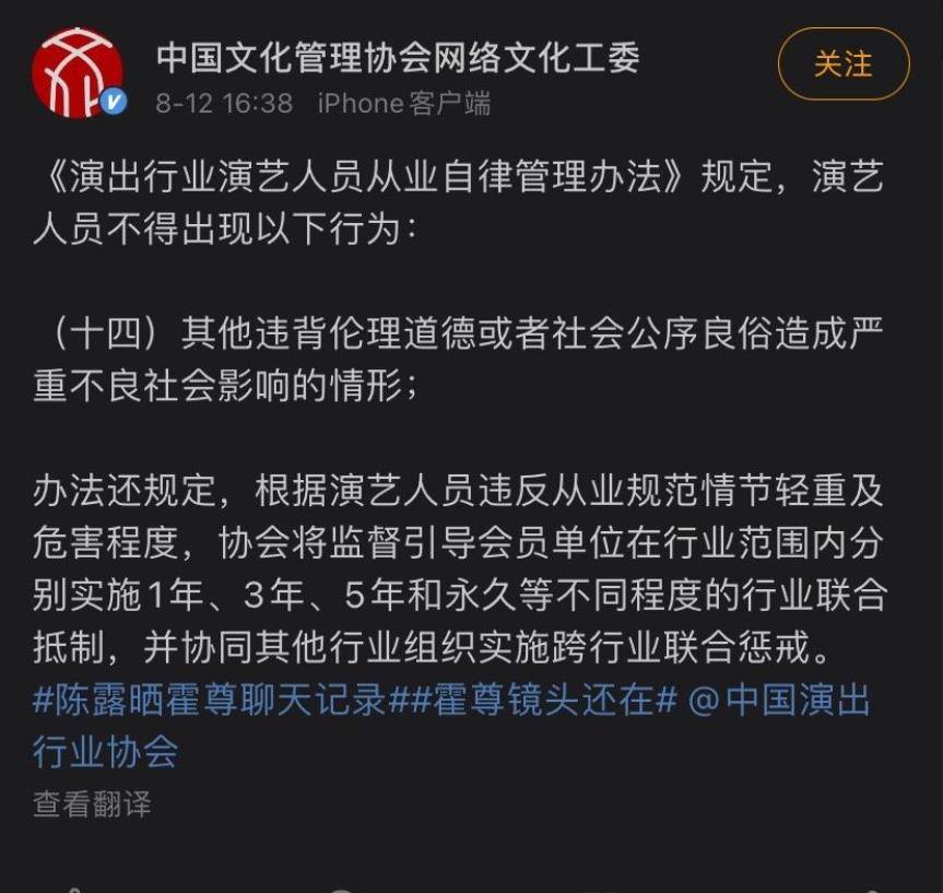 锤子哥最新技能学习全攻略，一步步引领行业，成为佼佼者之路