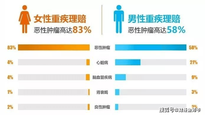 揭秘最新智商鹦鹉传奇故事，历史上的11月10日回顾