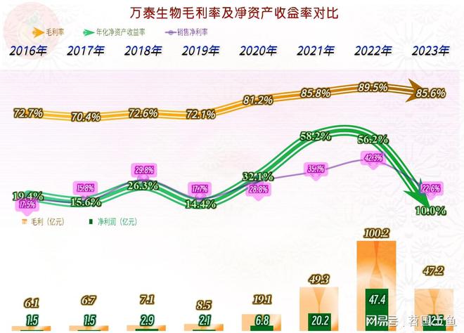 疫情下的彩虹桥，福建温馨日常与友情力量，最新疫情消息（2024年11月10日）