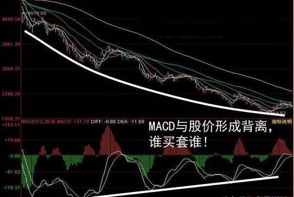 CSE782.6预言版跑狗图详解：7777788888正版图解及安全策略剖析