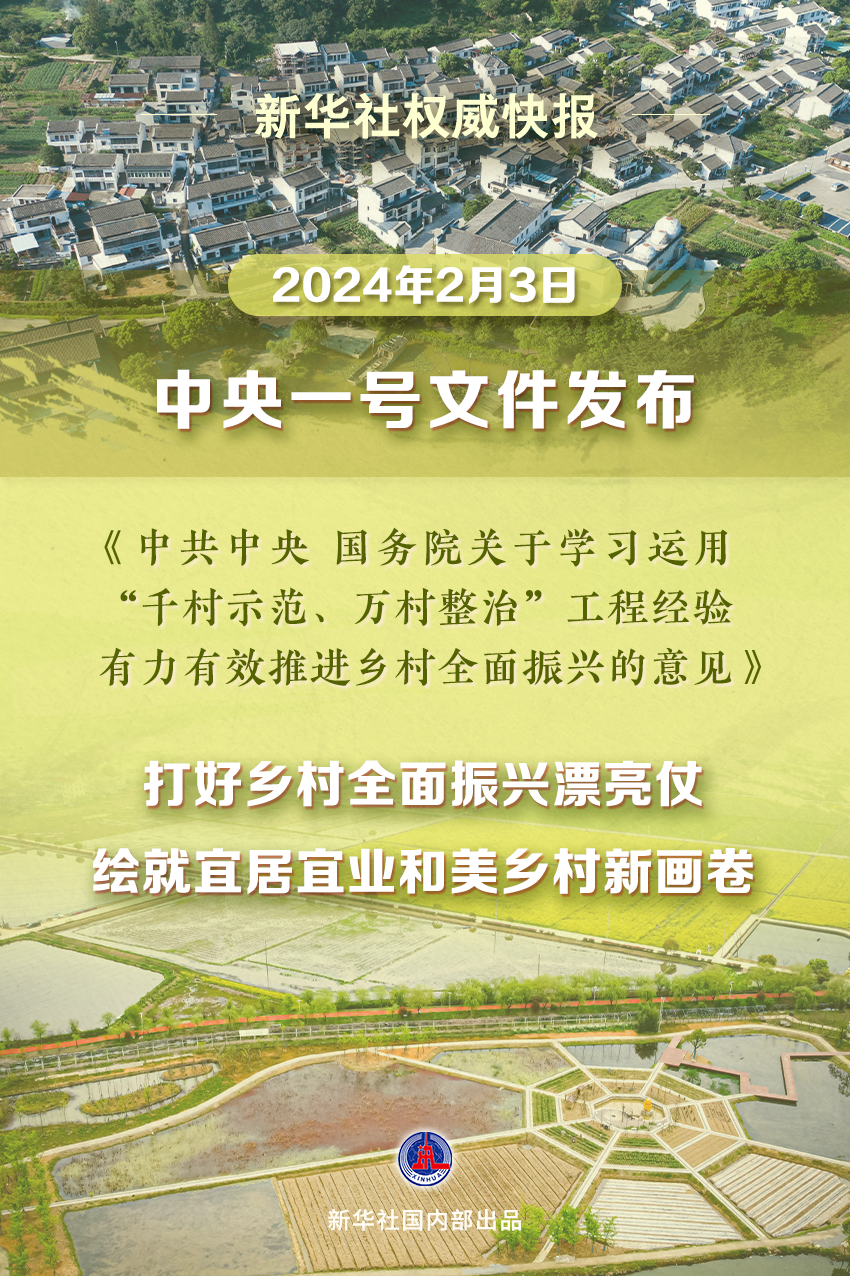 杞县大蒜新纪元，智能价格追踪系统引领农业市场风向标（最新价格更新）