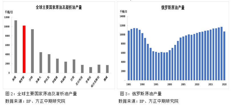 法国最新病毒深度解析，特点与影响探讨