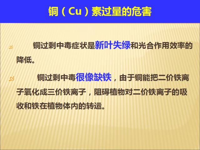 2024新澳正版免费资料,测绘科学与技术_准仙RTF396.63