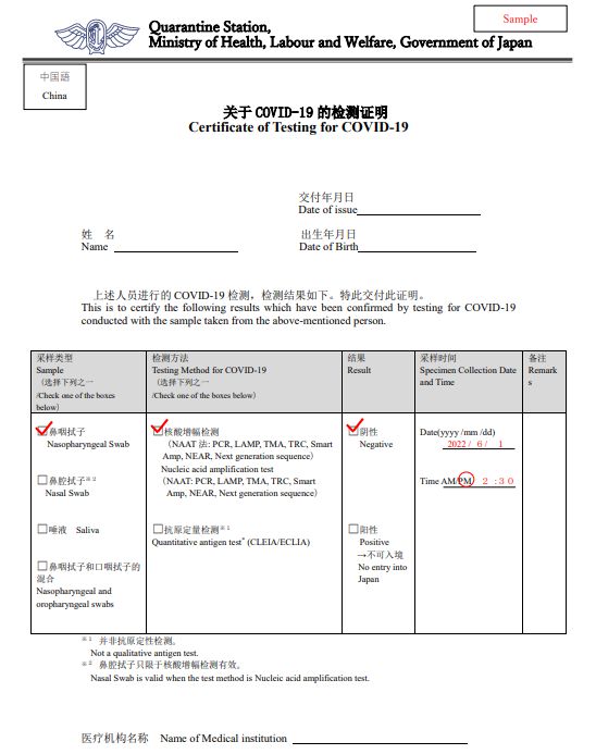 日本最新入境政策深度评测，历年11月13日的政策变化分析