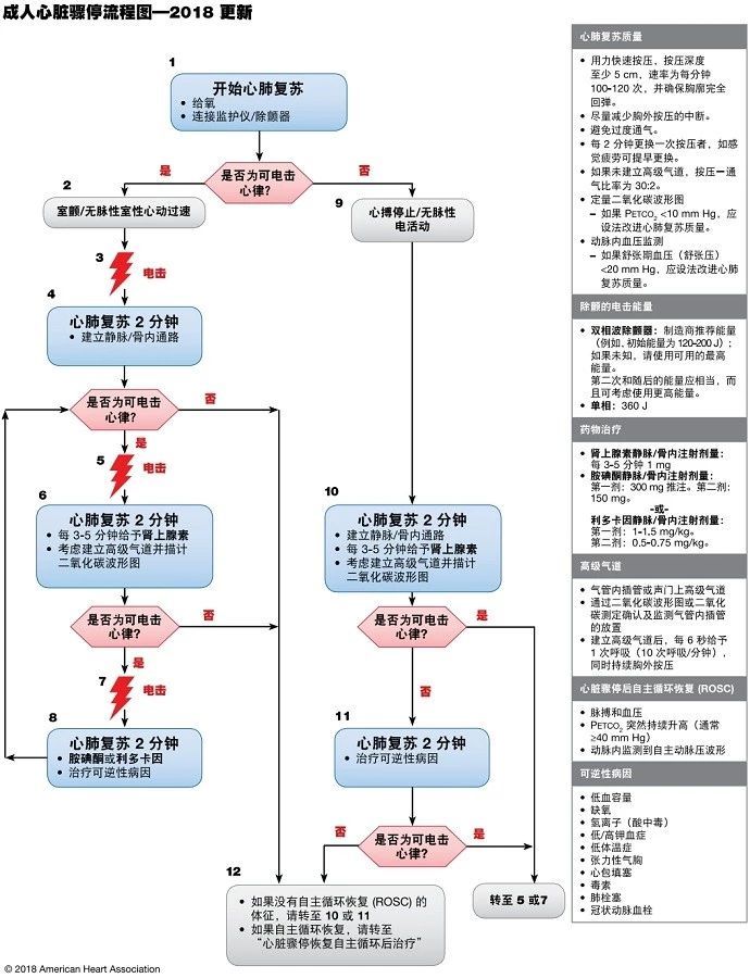 轻松科普风格解读，最新CPR操作流程详解与探讨