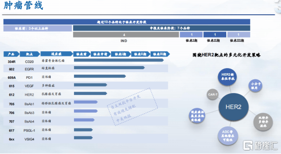 2024新澳正版资料免费共享，金牌解析与数据分析攻略_UOS62.490美学版