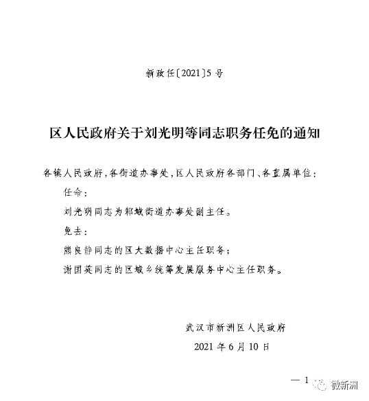 深度解读，大石桥市人事调整，多方观点探讨最新人事任免动态