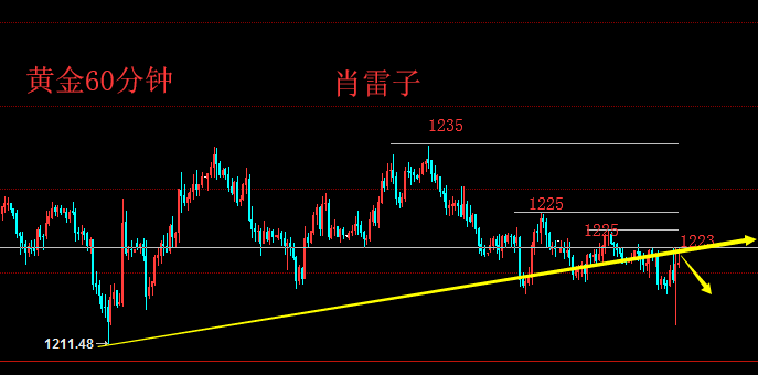 揭秘：老钱庄绝密一码一肖，安全方案PCE68.986悬浮版百分百精准