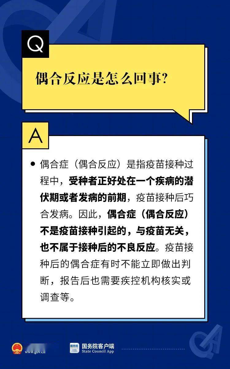 澳门二四六天下彩天天免费指南与快速解答实战_WCV11.670亮版