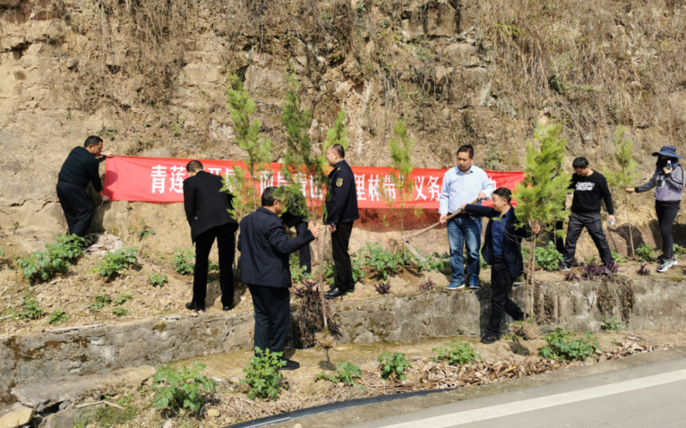 重庆奉节房价最新动态，学习变化，自信成就未来之旅