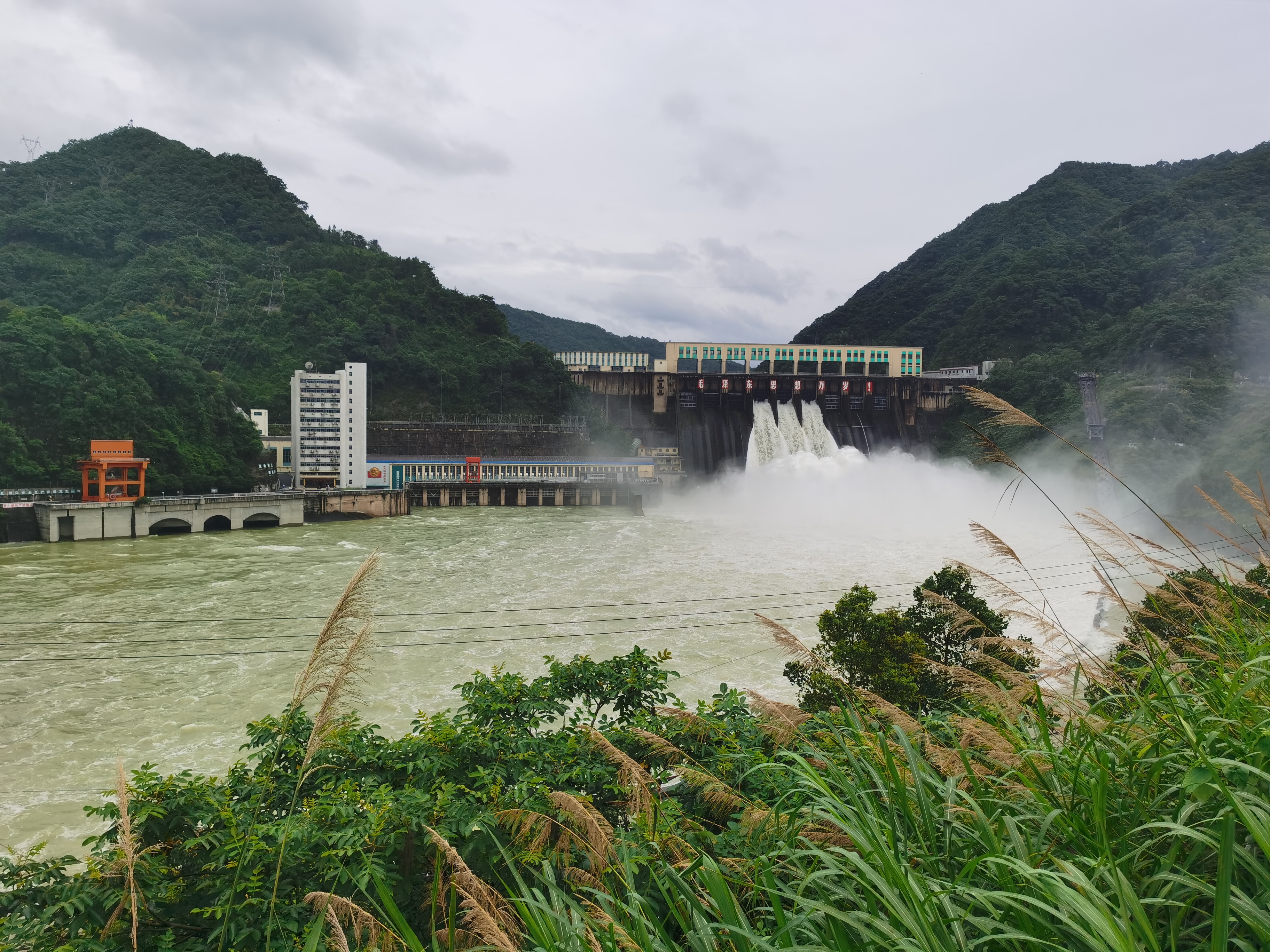 张湾水库探秘之旅，自然之旅的心灵觉醒最新消息报道（2024年）