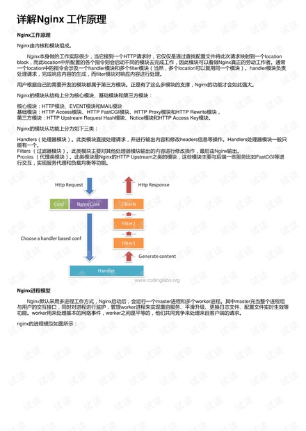 2024年11月16日 第125页