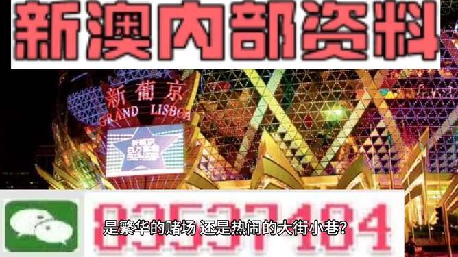 新澳精准资料免费提供网站,持续性实施方案_XOC79.333时刻版