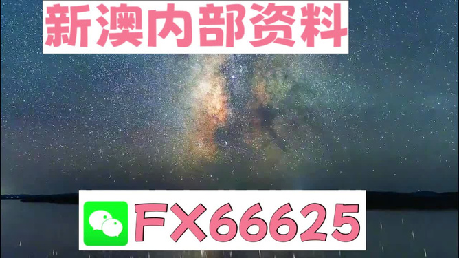 2024新澳天天彩免费资料,策略规划_TZY79.798探索版