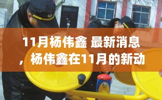 11月杨伟鑫最新动态及多维度视角下的观点碰撞与个人立场