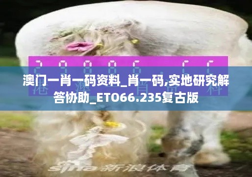 澳门一肖一码资料_肖一码,实地研究解答协助_ETO66.235复古版