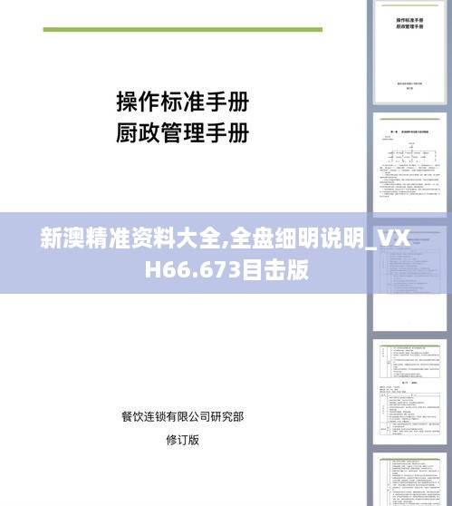 新澳精准资料大全,全盘细明说明_VXH66.673目击版