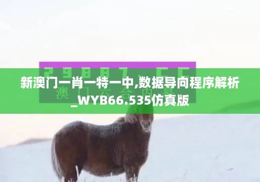 新澳门一肖一特一中,数据导向程序解析_WYB66.535仿真版