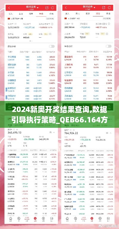 2024新奥开奖结果查询,数据引导执行策略_QEB66.164方便版