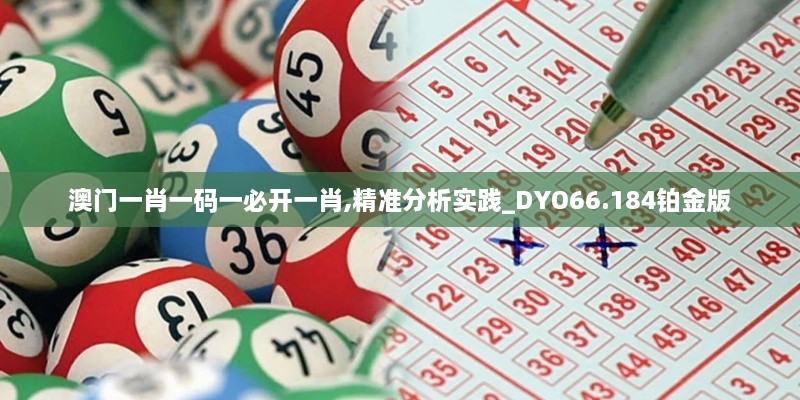 澳门一肖一码一必开一肖,精准分析实践_DYO66.184铂金版