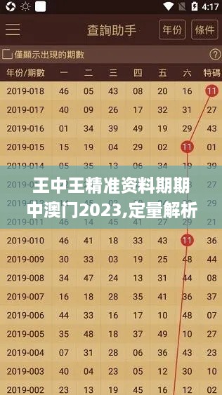 王中王精准资料期期中澳门2023,定量解析解释法_HFH66.615无限版